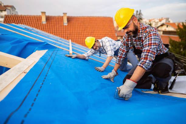 Best Metal Roofing Contractor  in Falconer, NY