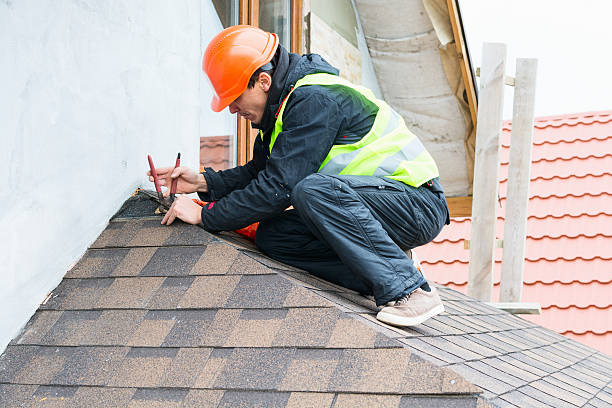 Best Roof Gutter Cleaning  in Falconer, NY